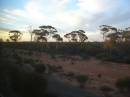 Sunset, Western Australia, taken from the Indian Pacific 