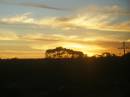 Sunset, Western Australia, taken from the Indian Pacific 
