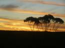 Sunset, Western Australia, taken from the Indian Pacific 