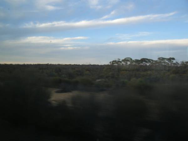 Sunset, Western Australia,  | taken from the Indian Pacific  | 