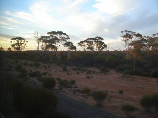Sunset, Western Australia,  | taken from the Indian Pacific  | 