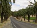 Seppeltsfield, Barossa Valley, South Australia 