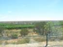 Grapes growing near the Murray River, South Australia 