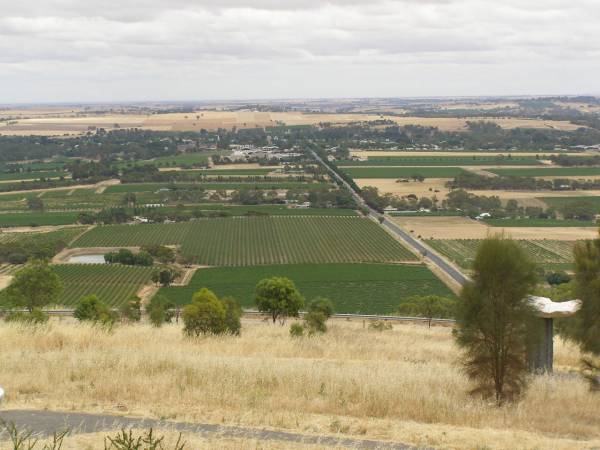View from Menglers Hill lookout,  | Barossa Valley,  | South Australia  | 