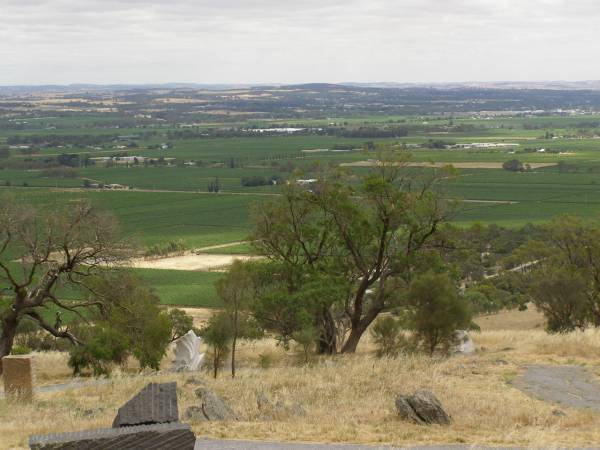 View from Menglers Hill lookout,  | Barossa Valley,  | South Australia  | 