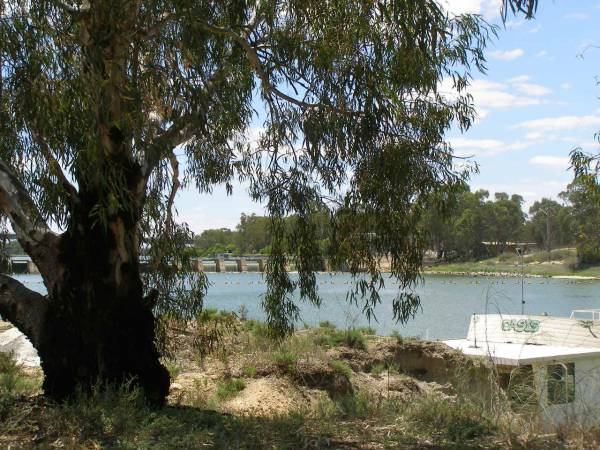 Weir on the Murray River,  | Blanchetown,  | South Australia  | 