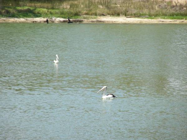 Weir on the Murray River,  | Blanchetown,  | South Australia  | 