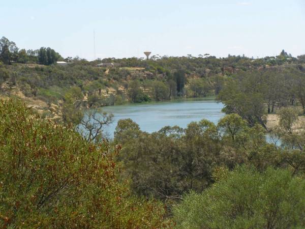 Murray River near Waikerie?,  | South Australia  | 