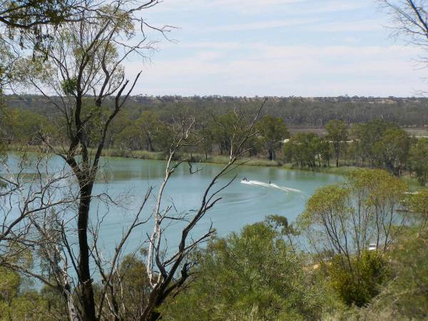 Murray River near Waikerie?,  | South Australia  | 