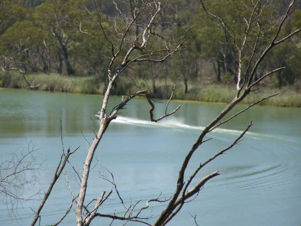 Murray River near Waikerie?,  | South Australia  | 