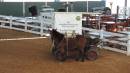 DSCN5973.JPG