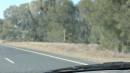 DSCN9093.JPG