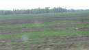 DSCN9095.JPG