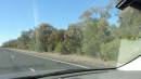 DSCN9097.JPG
