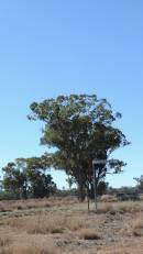 DSCN9139.JPG