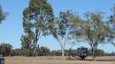 DSCN9147.JPG