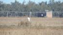 DSCN9152.JPG