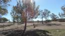 DSCN9174.JPG