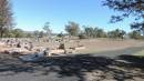 DSCN9206.JPG