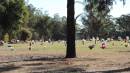 DSCN9224.JPG