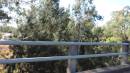 DSCN9247.JPG